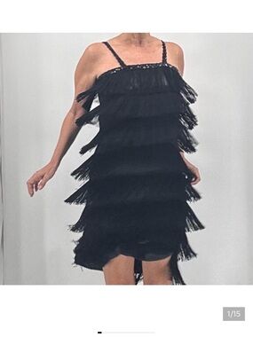 Fun Costumes Roaring 1920’s Great Gatsby Party Fringe Sequin Flapper Dress